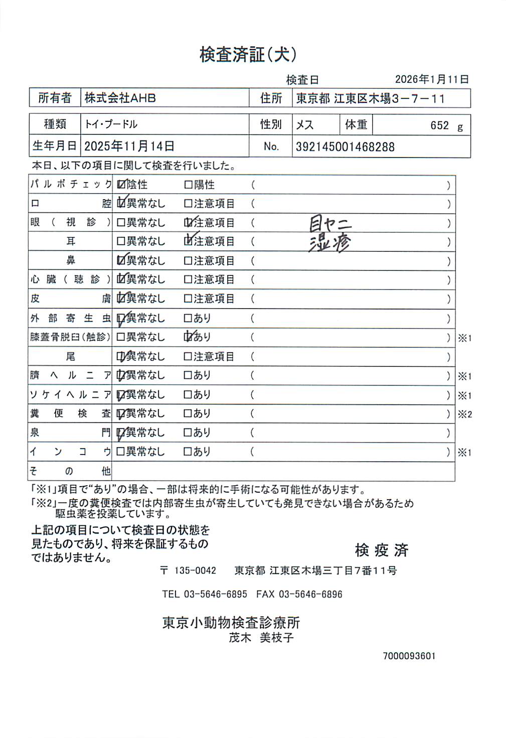 トイ・プードル
