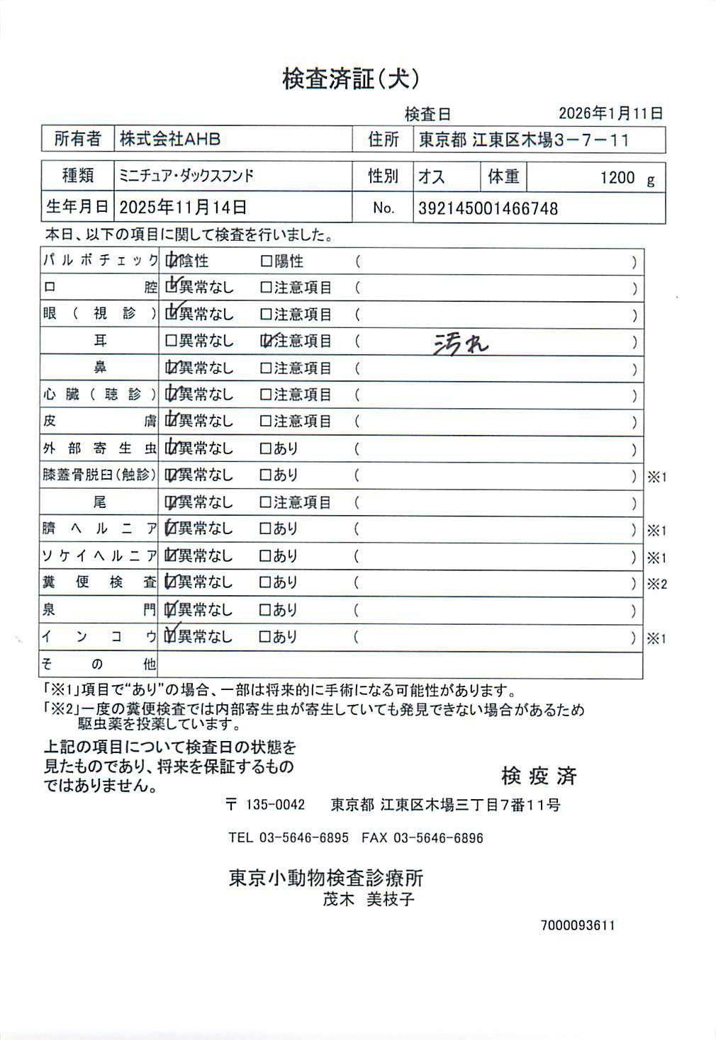 ミニチュア・ダックスフンド