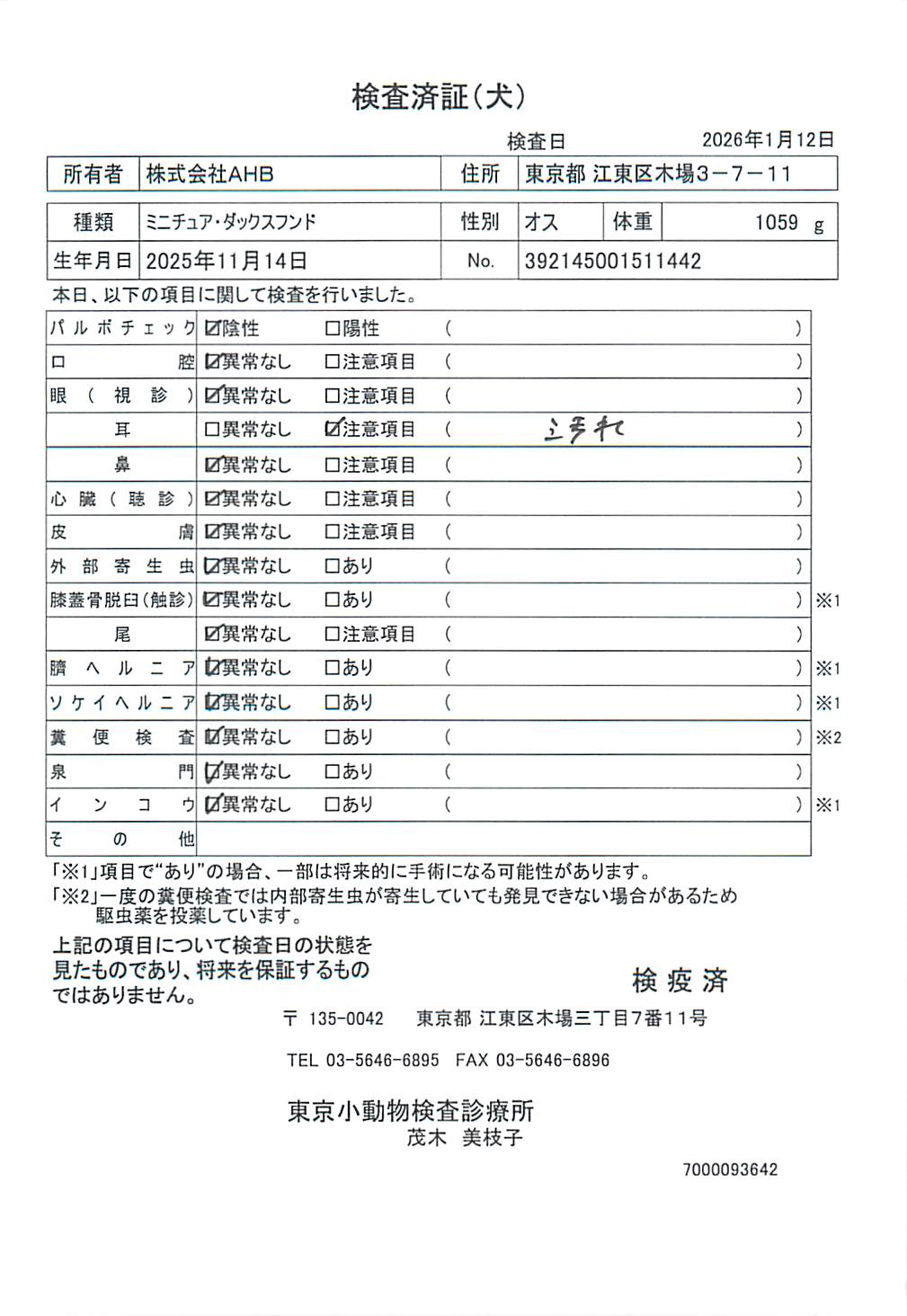 ミニチュア・ダックスフンド