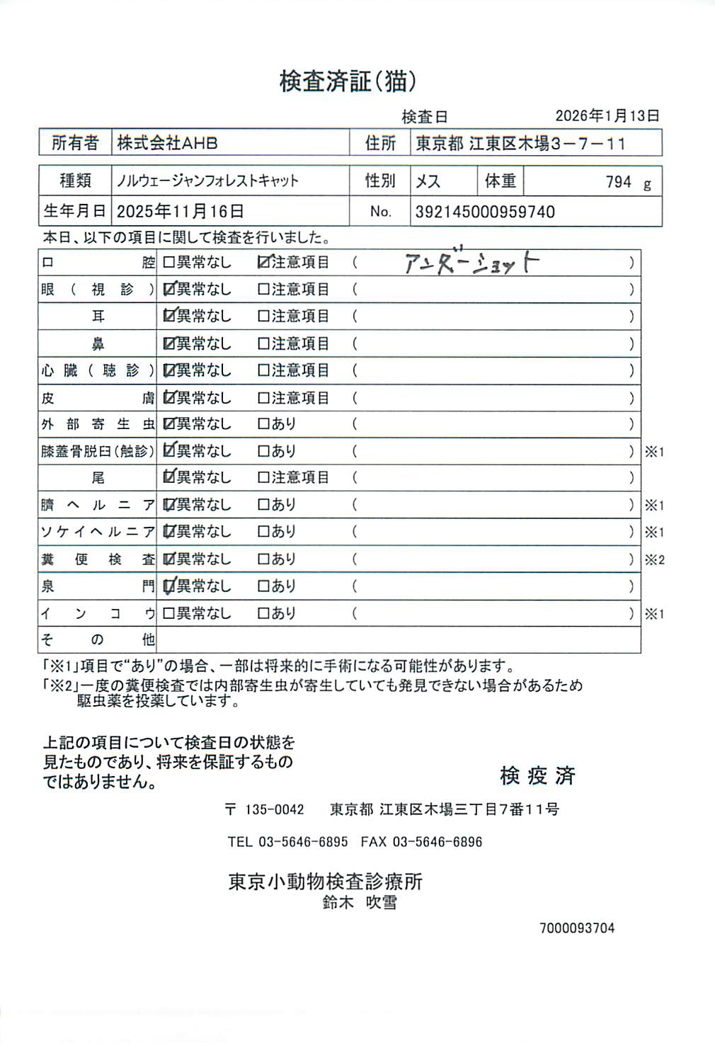 ノルウェージャンフォレストキャット