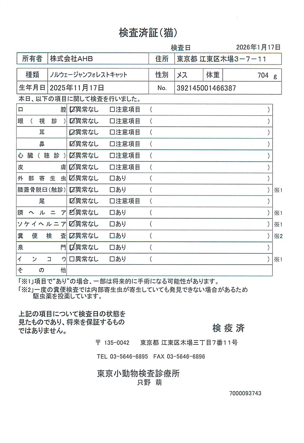 ノルウェージャンフォレストキャット