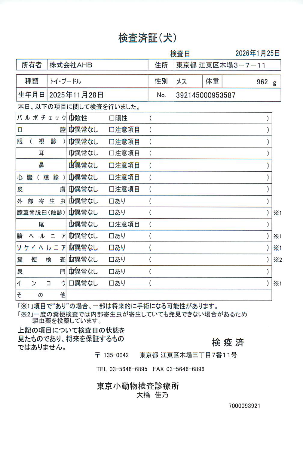 トイ・プードル