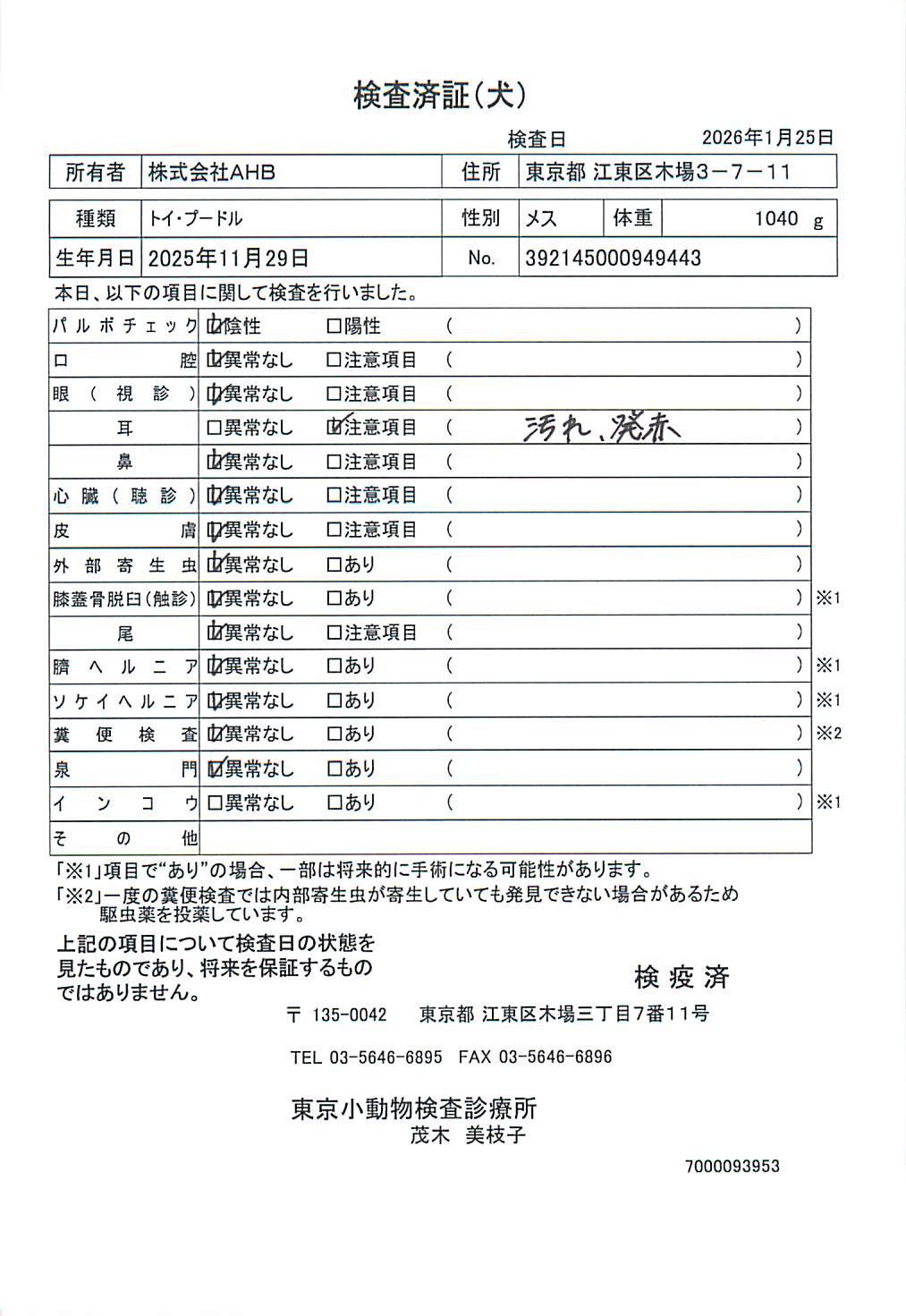 トイ・プードル