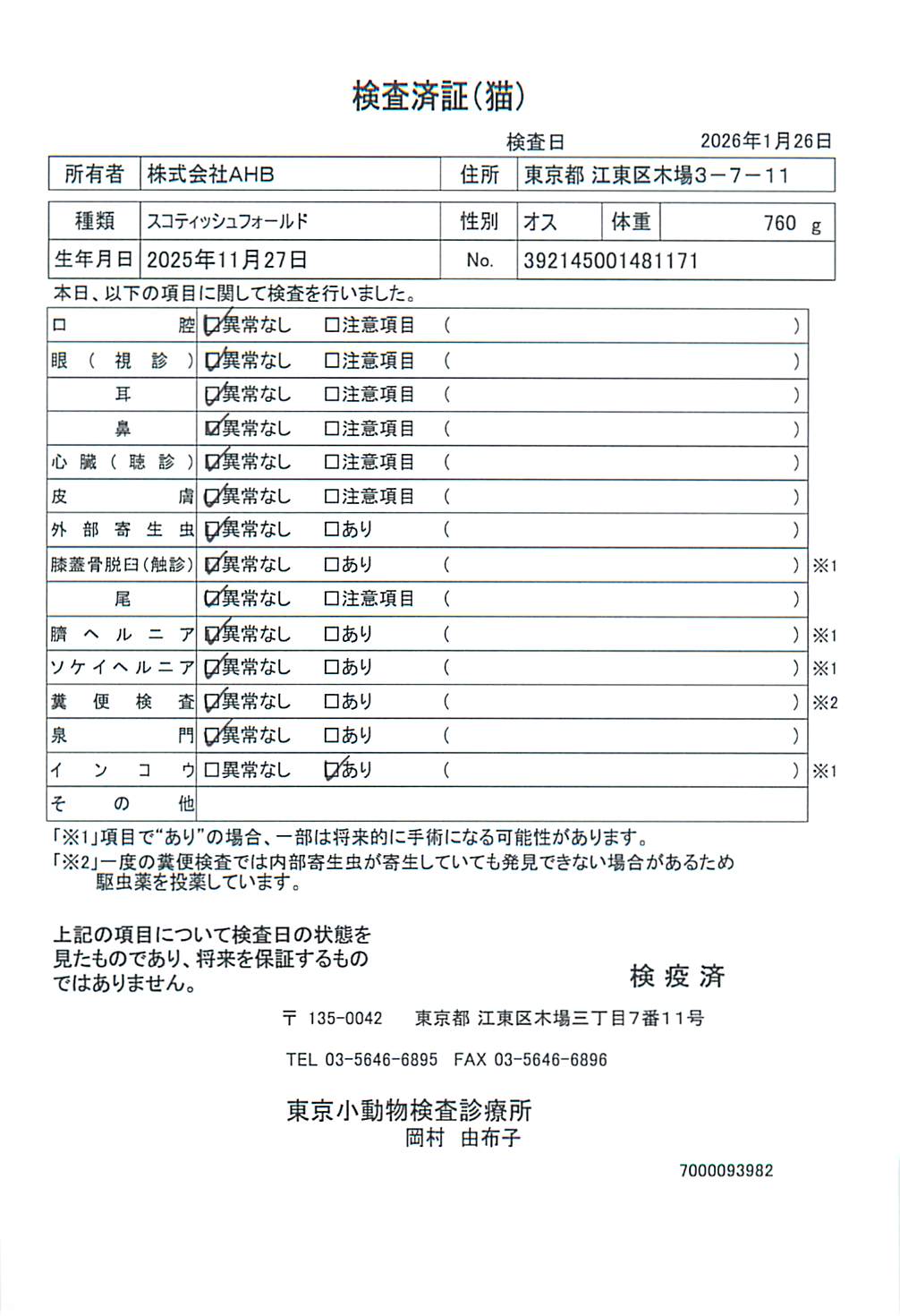 スコティッシュフォールド