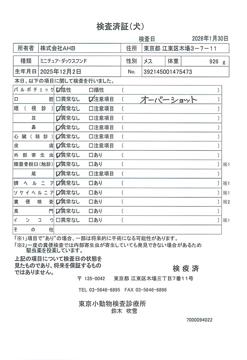 ミニチュア・ダックスフンド