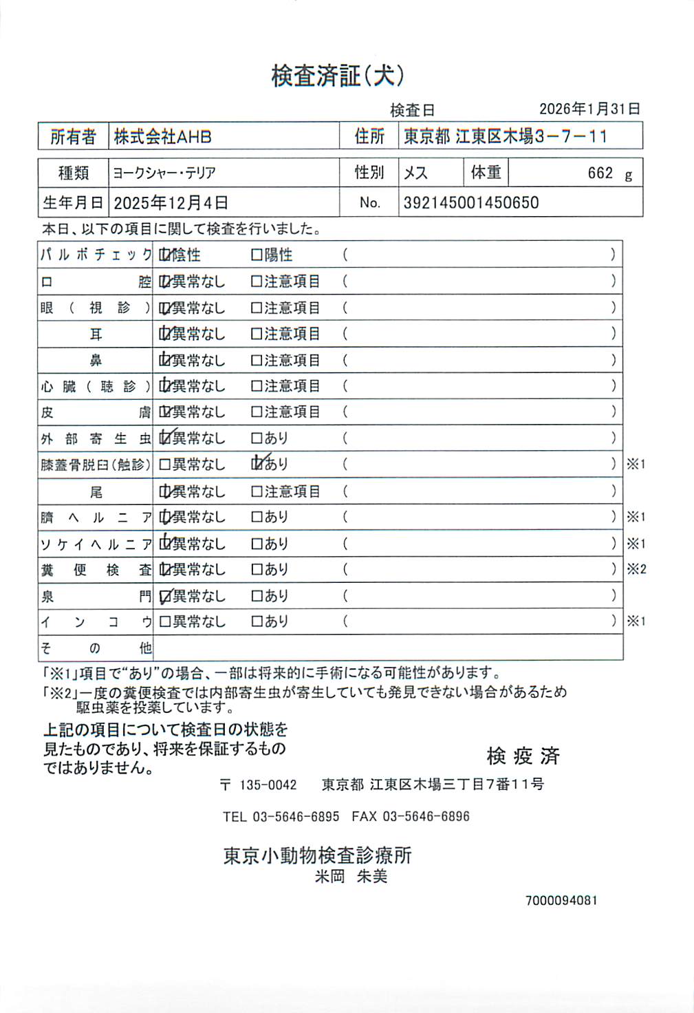 ヨークシャー・テリア