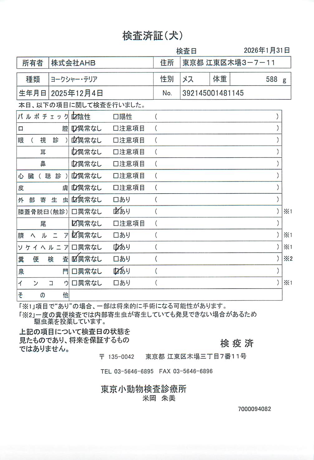ヨークシャー・テリア