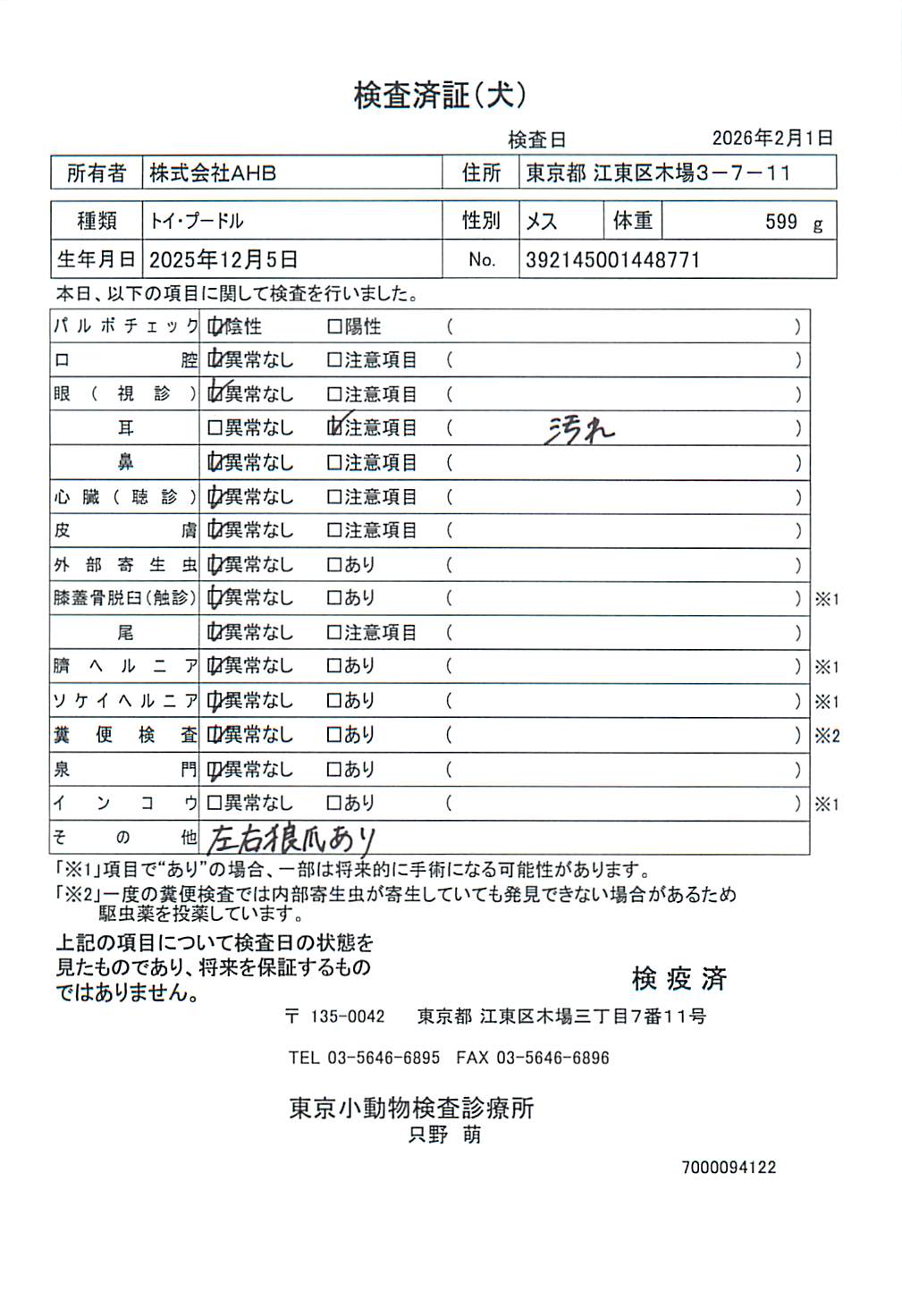 トイ・プードル