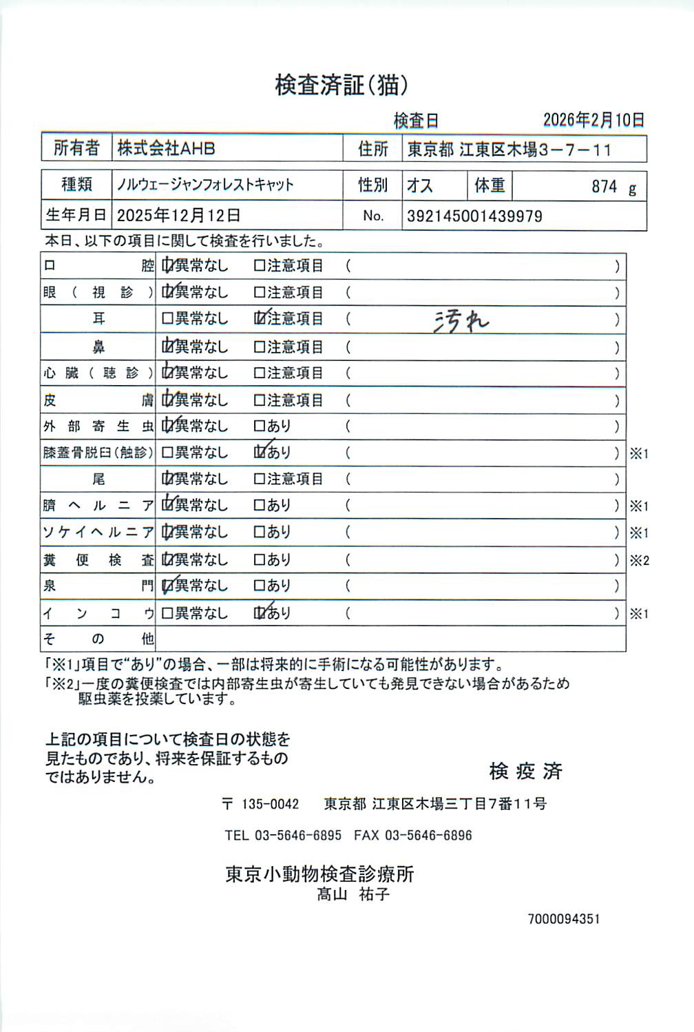 ノルウェージャンフォレストキャット