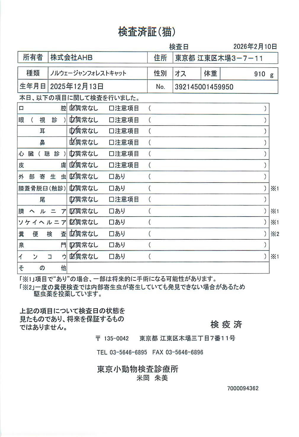 ノルウェージャンフォレストキャット