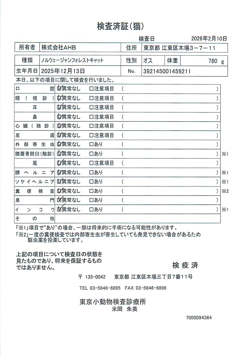 ノルウェージャンフォレストキャット