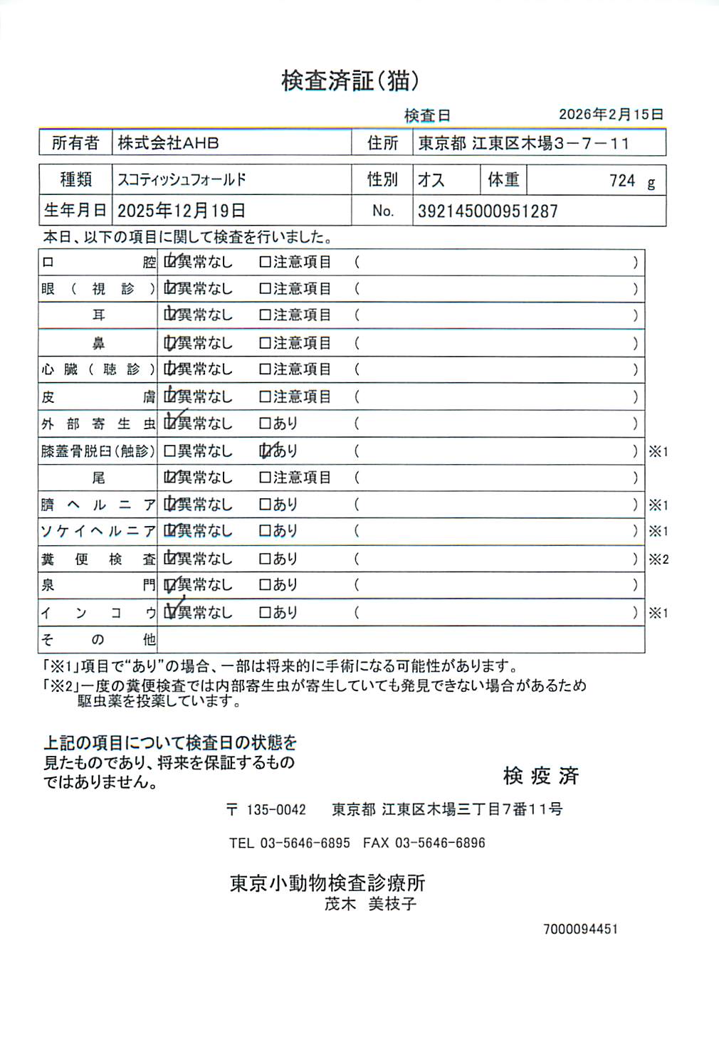 スコティッシュフォールド