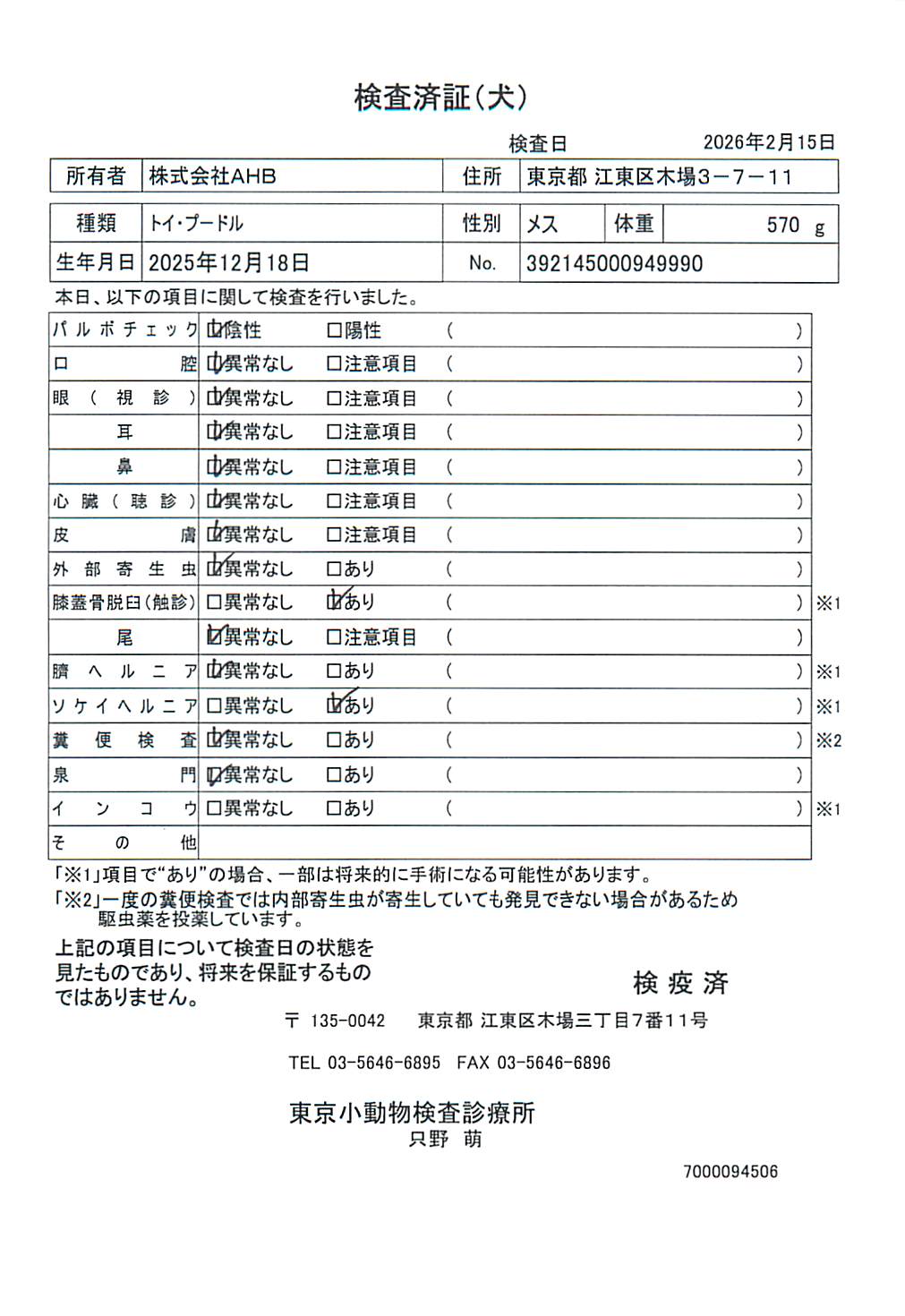 トイ・プードル