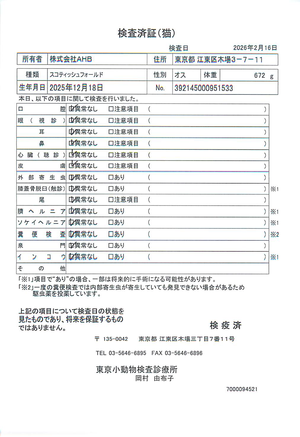 スコティッシュフォールド