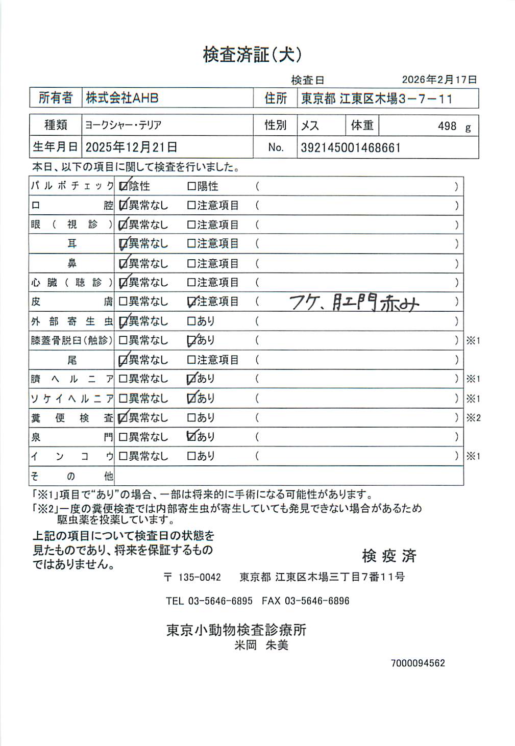 ヨークシャー・テリア