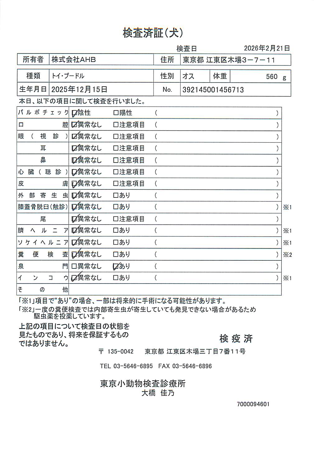 トイ・プードル