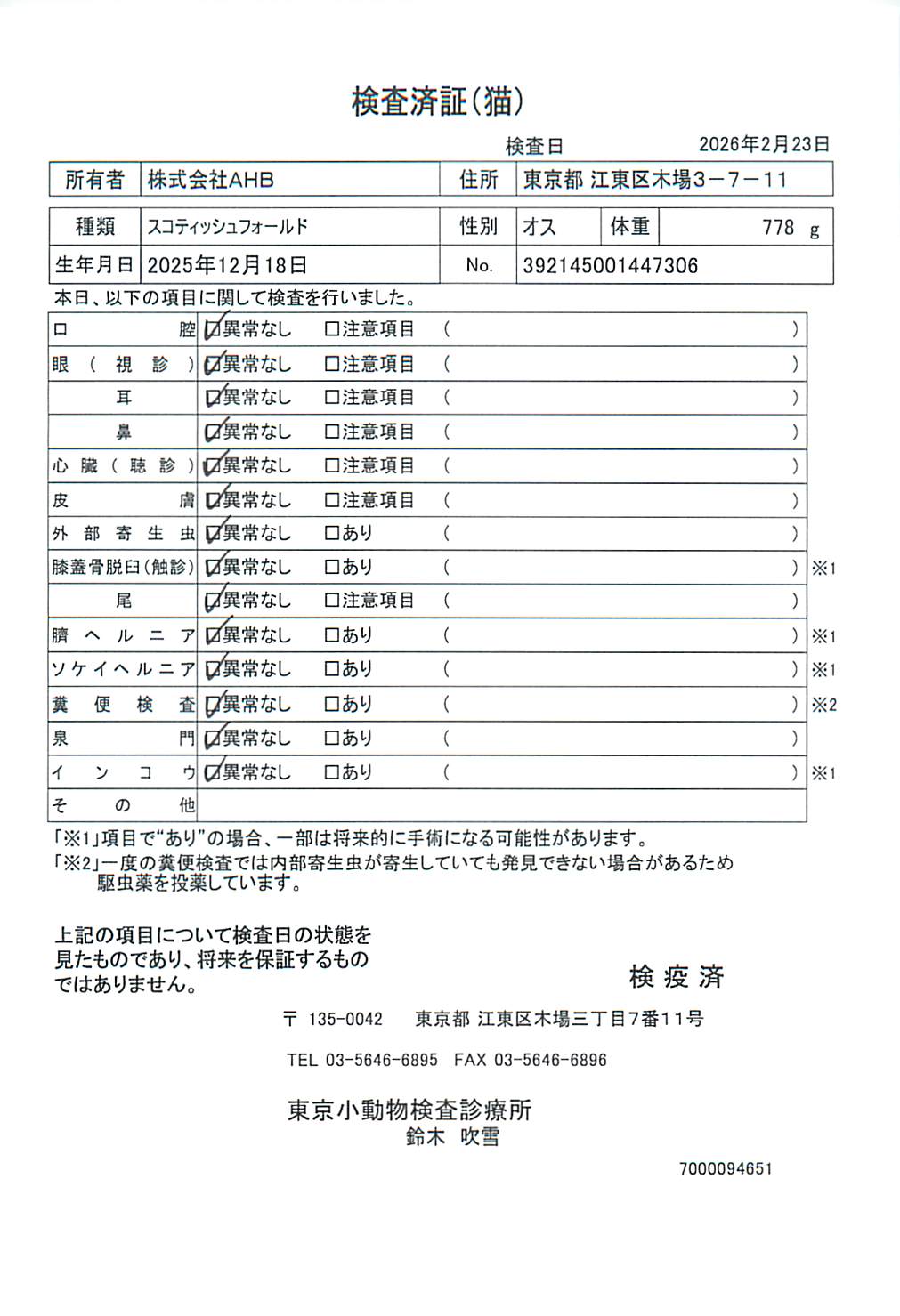 スコティッシュフォールド