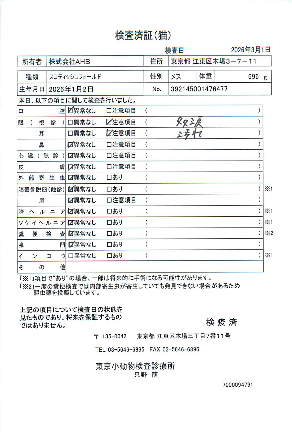 スコティッシュフォールド