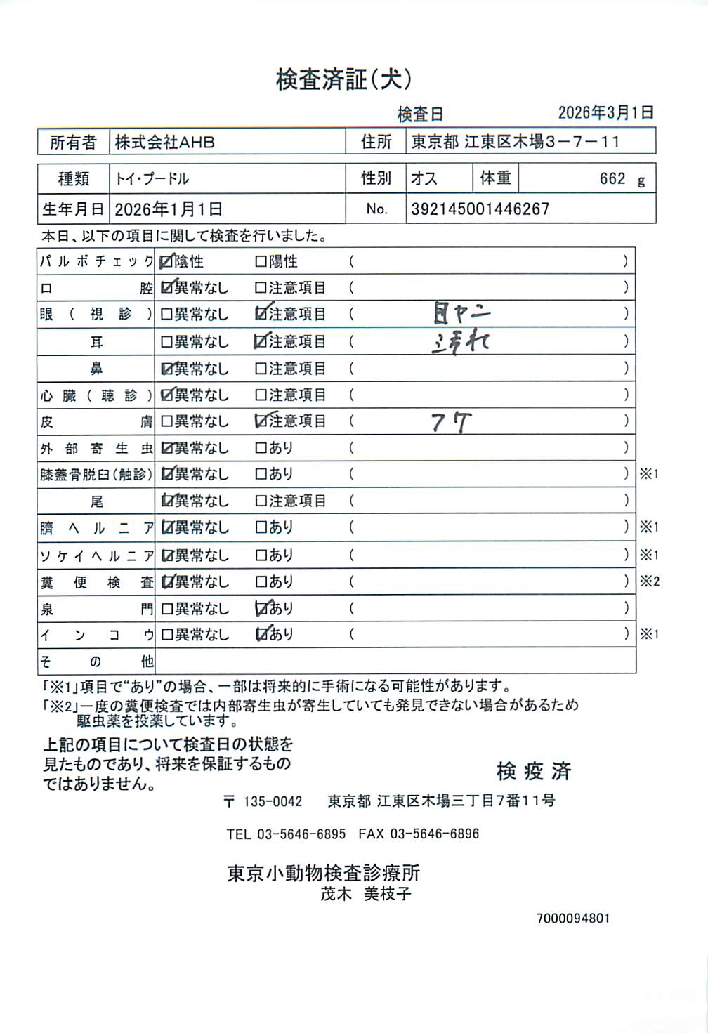 トイ・プードル