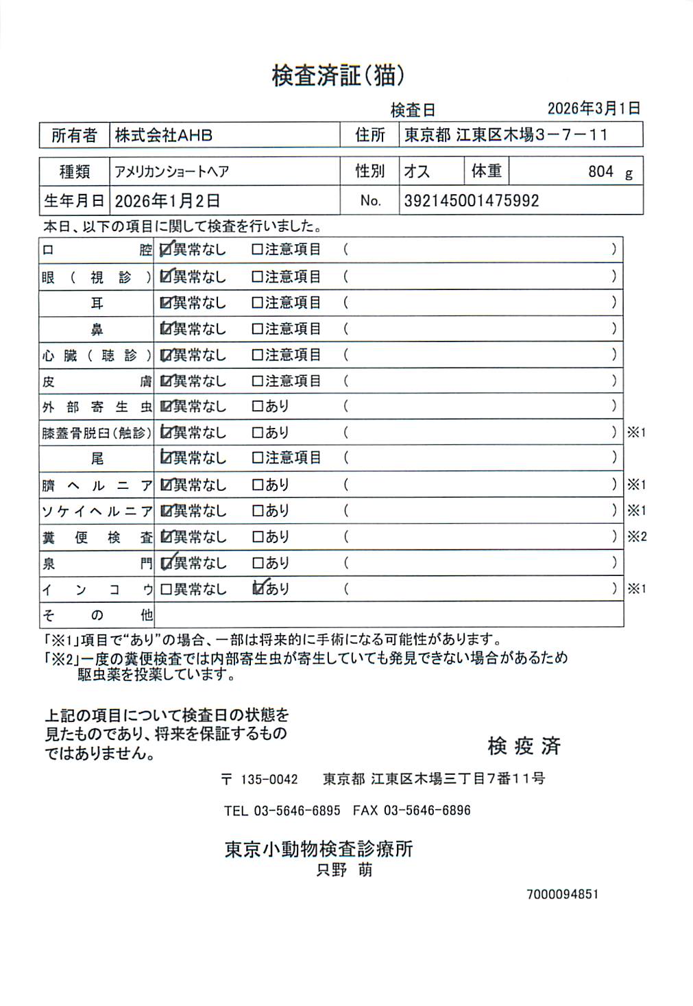 アメリカンショートヘア