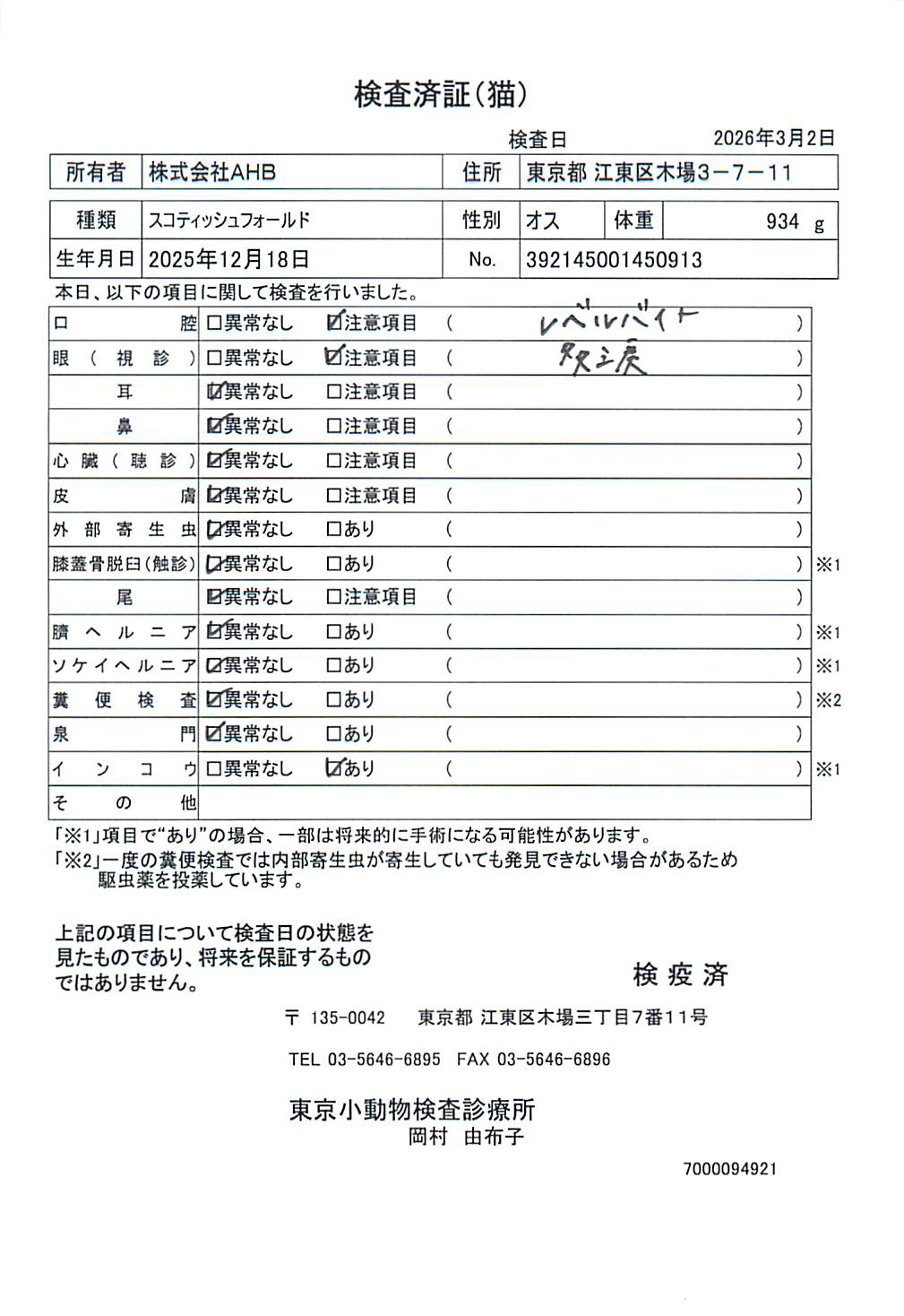 スコティッシュフォールド