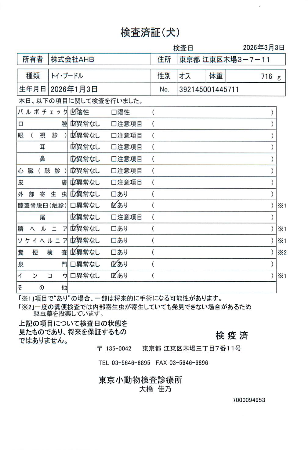 トイ・プードル
