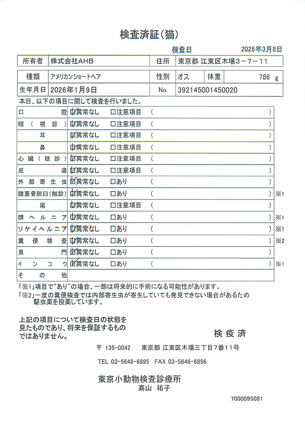 アメリカンショートヘア