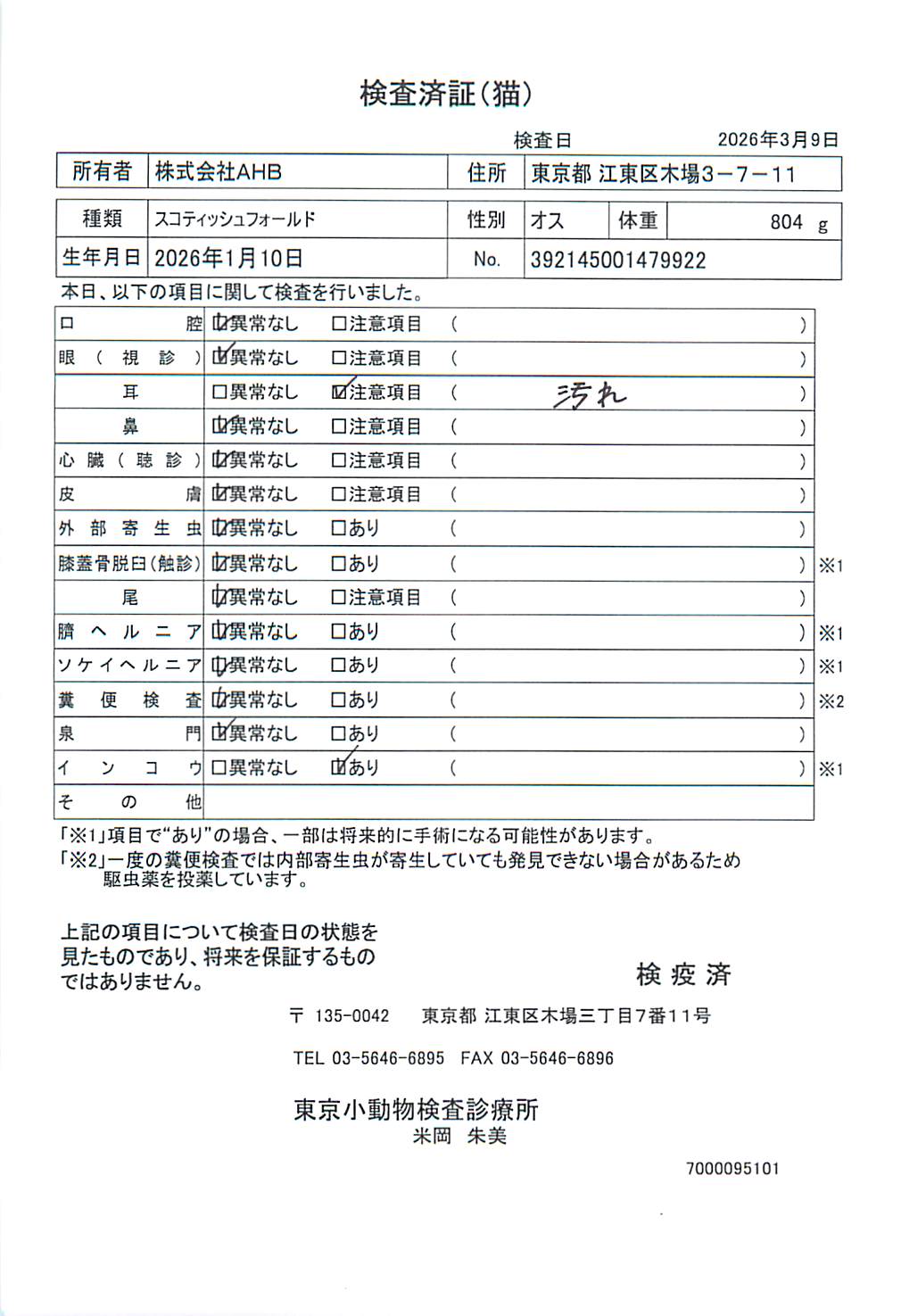 スコティッシュフォールド