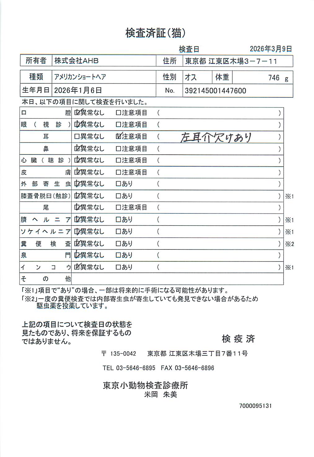 アメリカンショートヘア