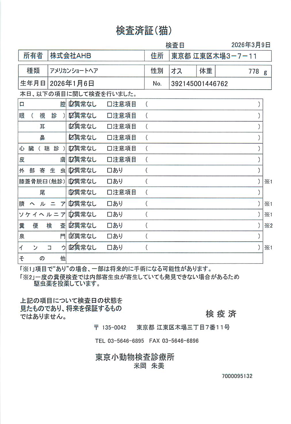 アメリカンショートヘア