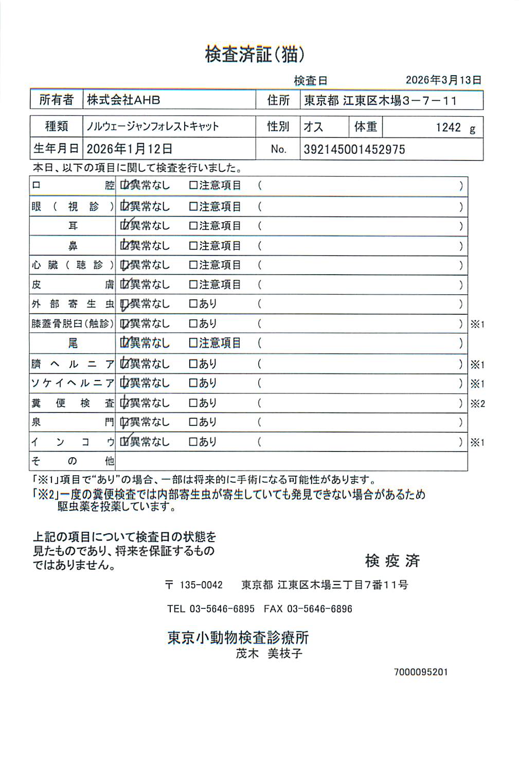 ノルウェージャンフォレストキャット
