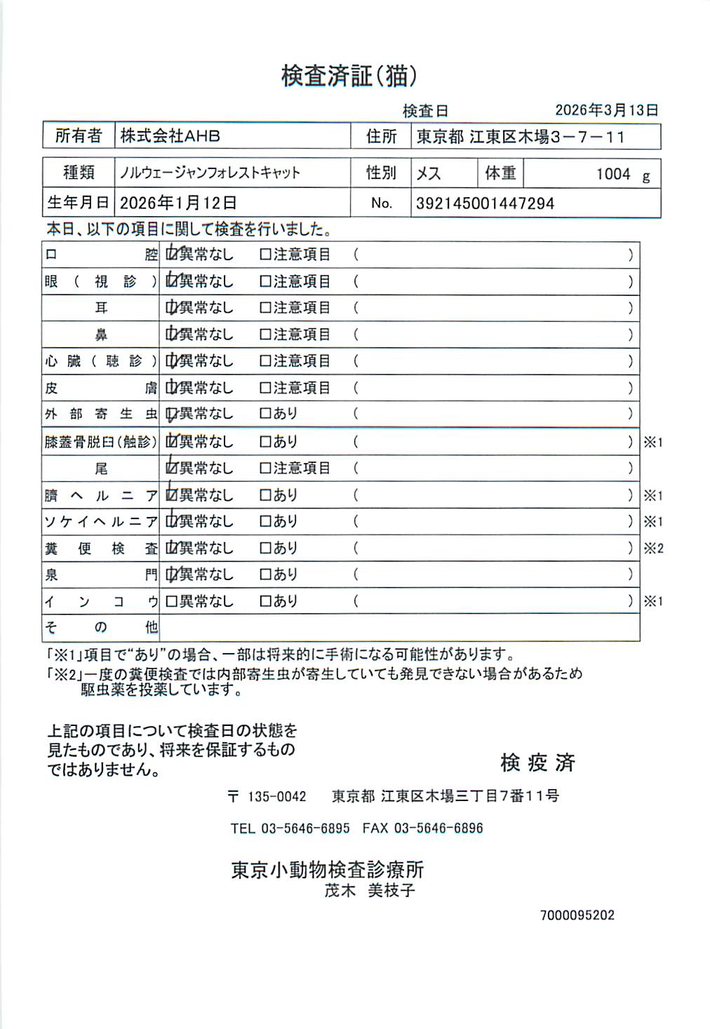 ノルウェージャンフォレストキャット
