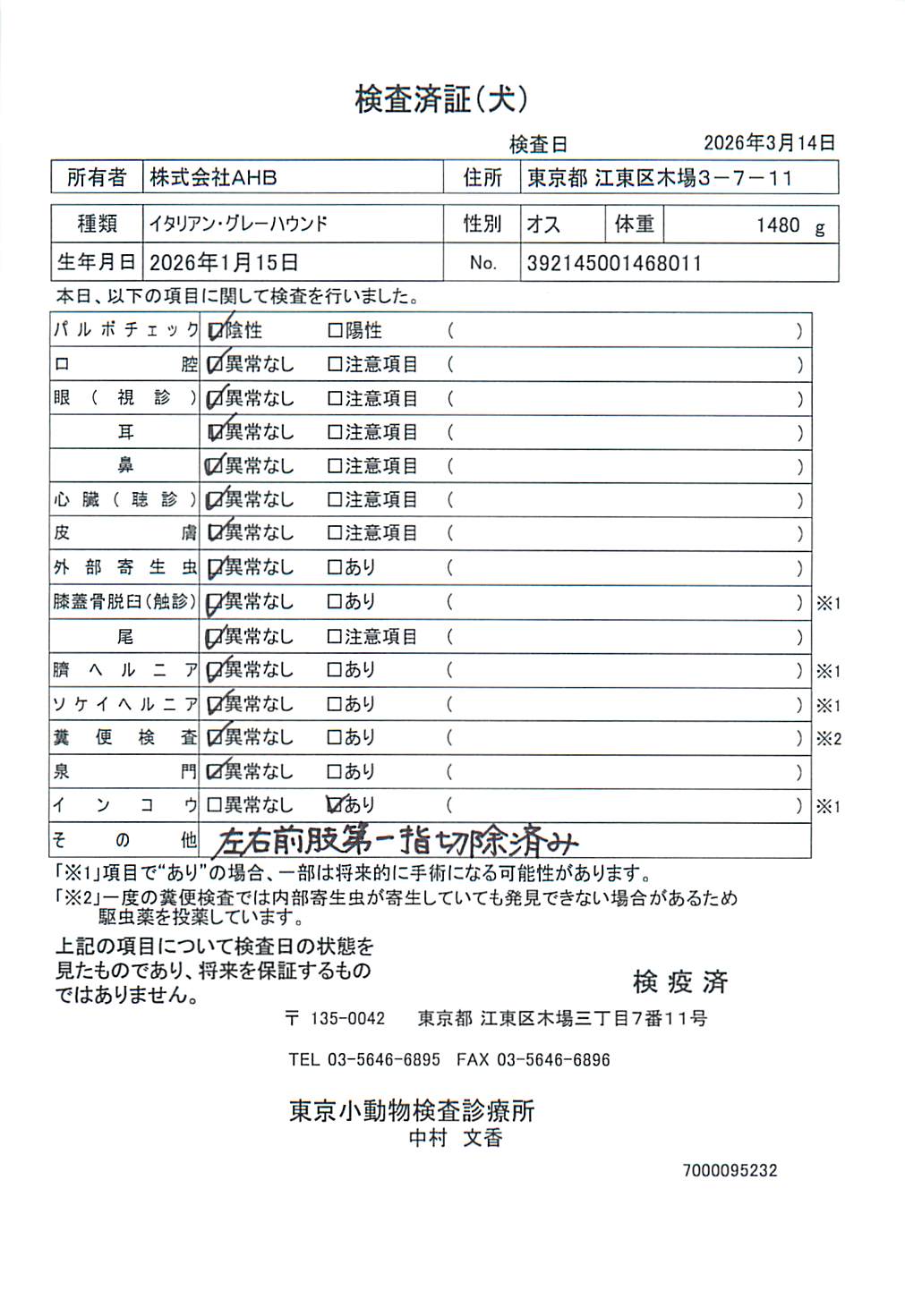 イタリアン・グレーハウンド