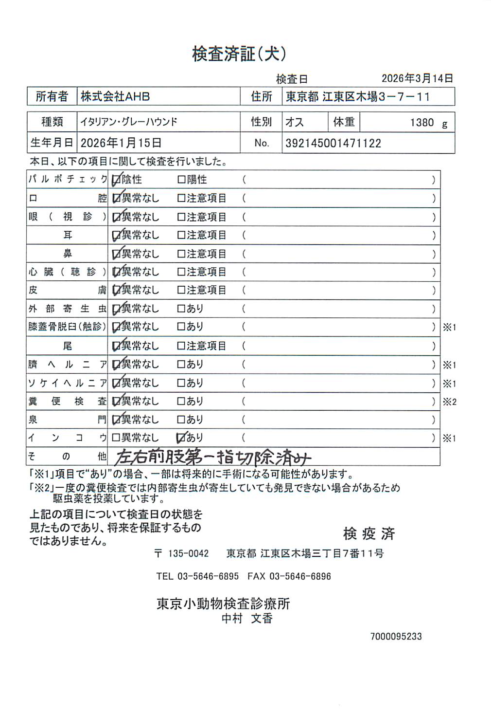 イタリアン・グレーハウンド