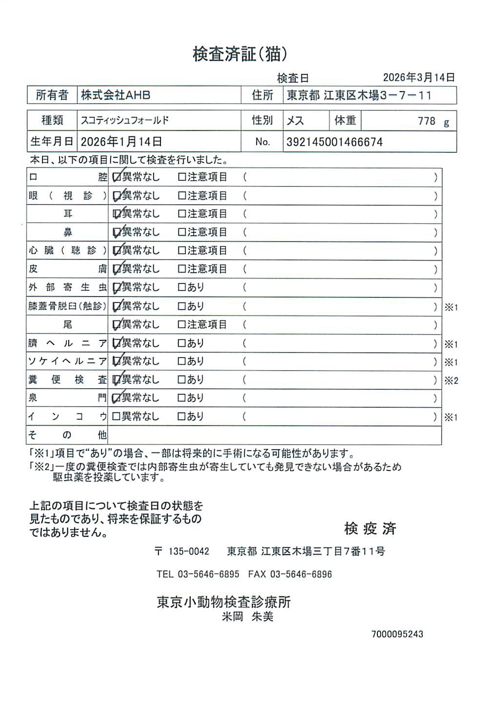 スコティッシュフォールド