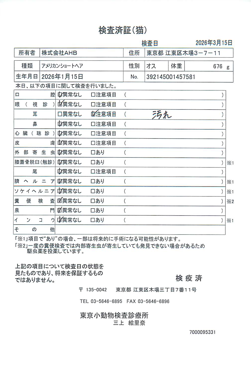 アメリカンショートヘア