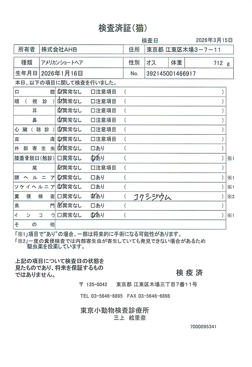 アメリカンショートヘア