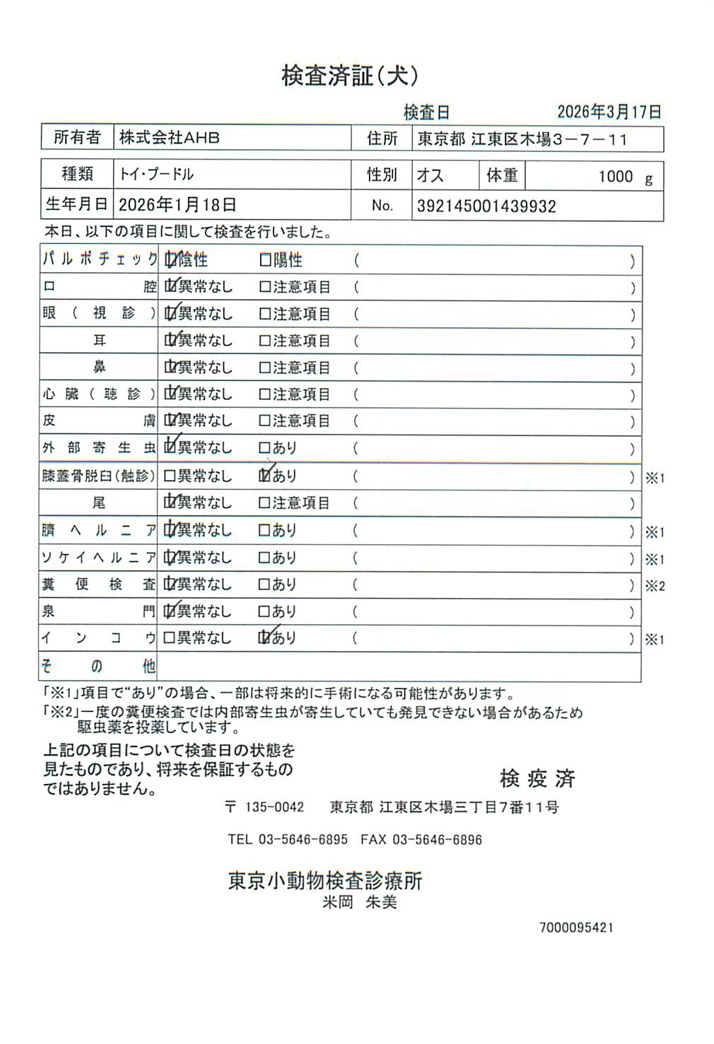 トイ・プードル