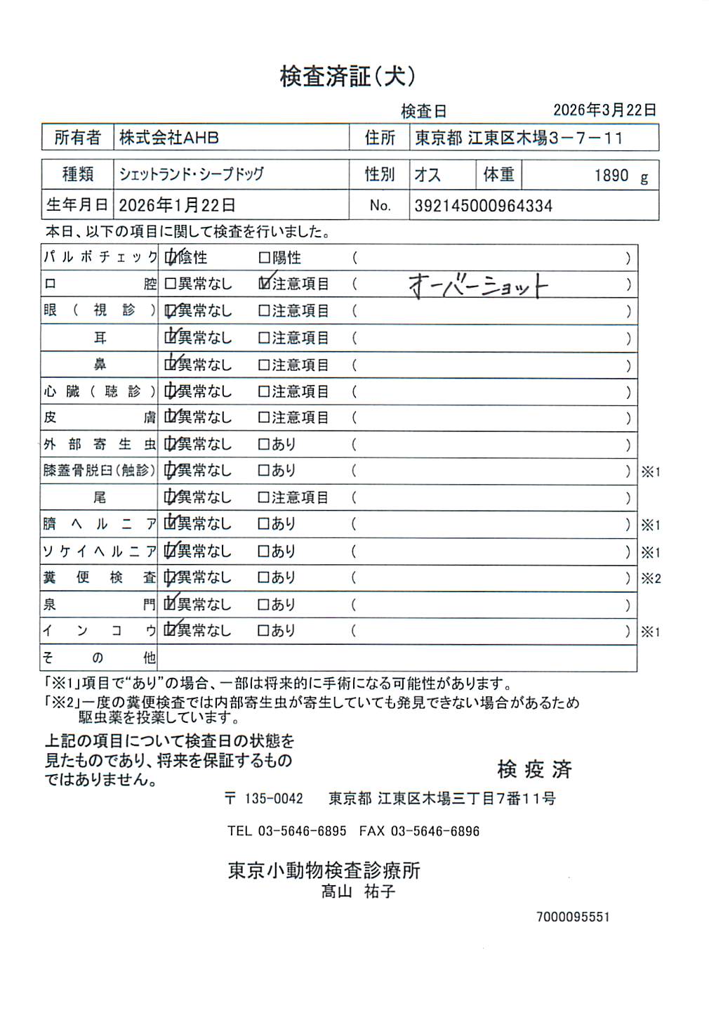 シェットランド・シープドッグ