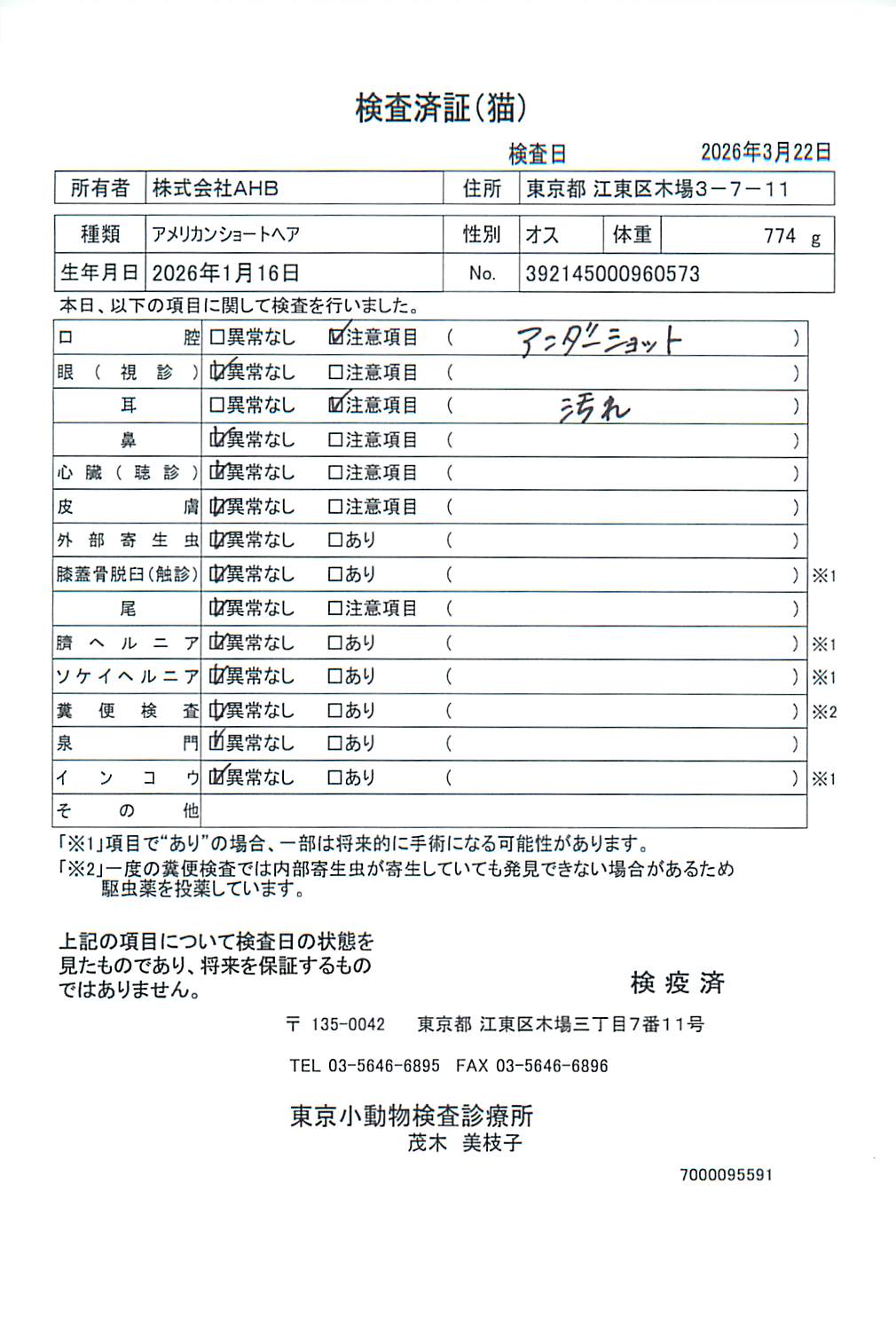 アメリカンショートヘア