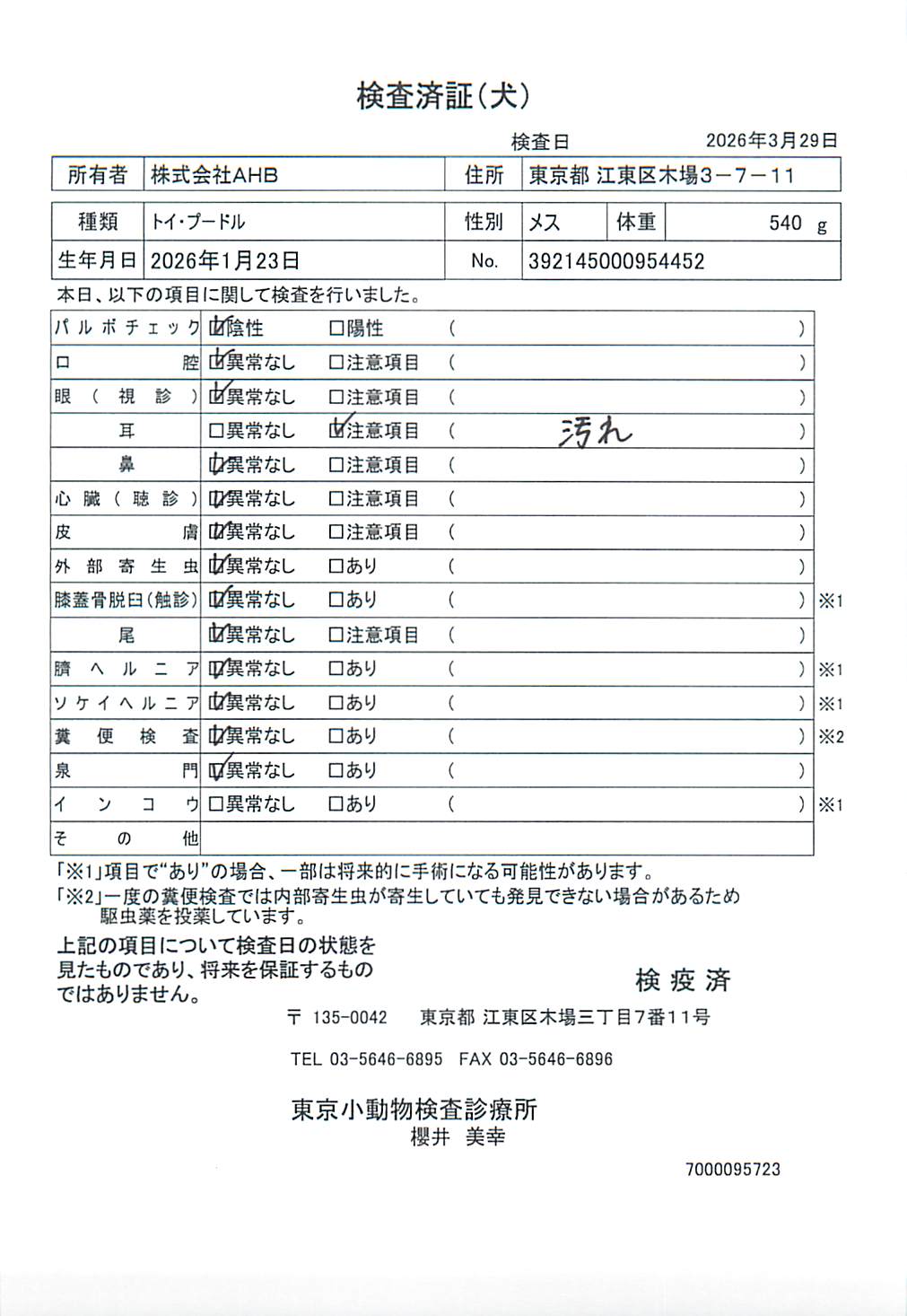 トイ・プードル