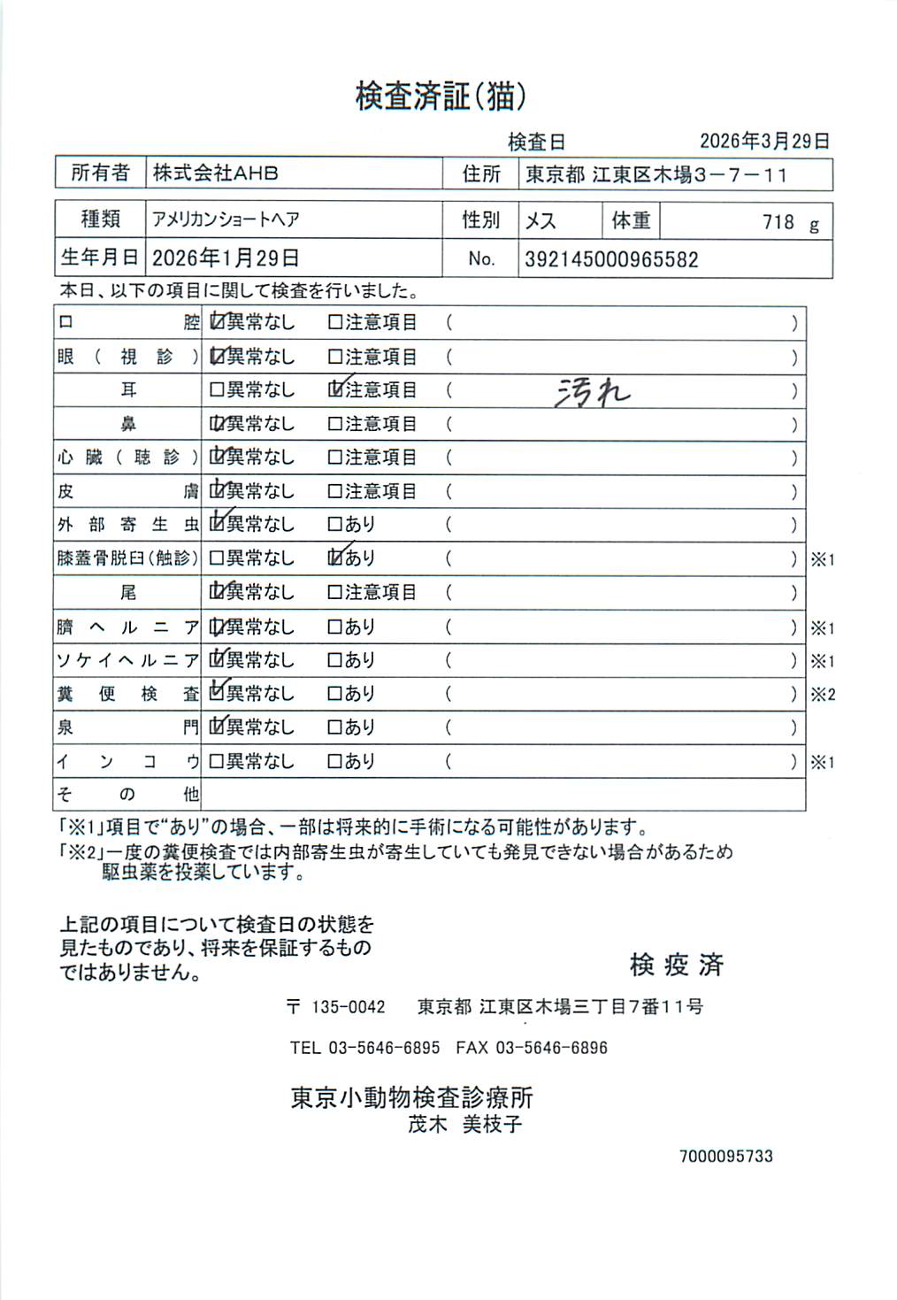 アメリカンショートヘア