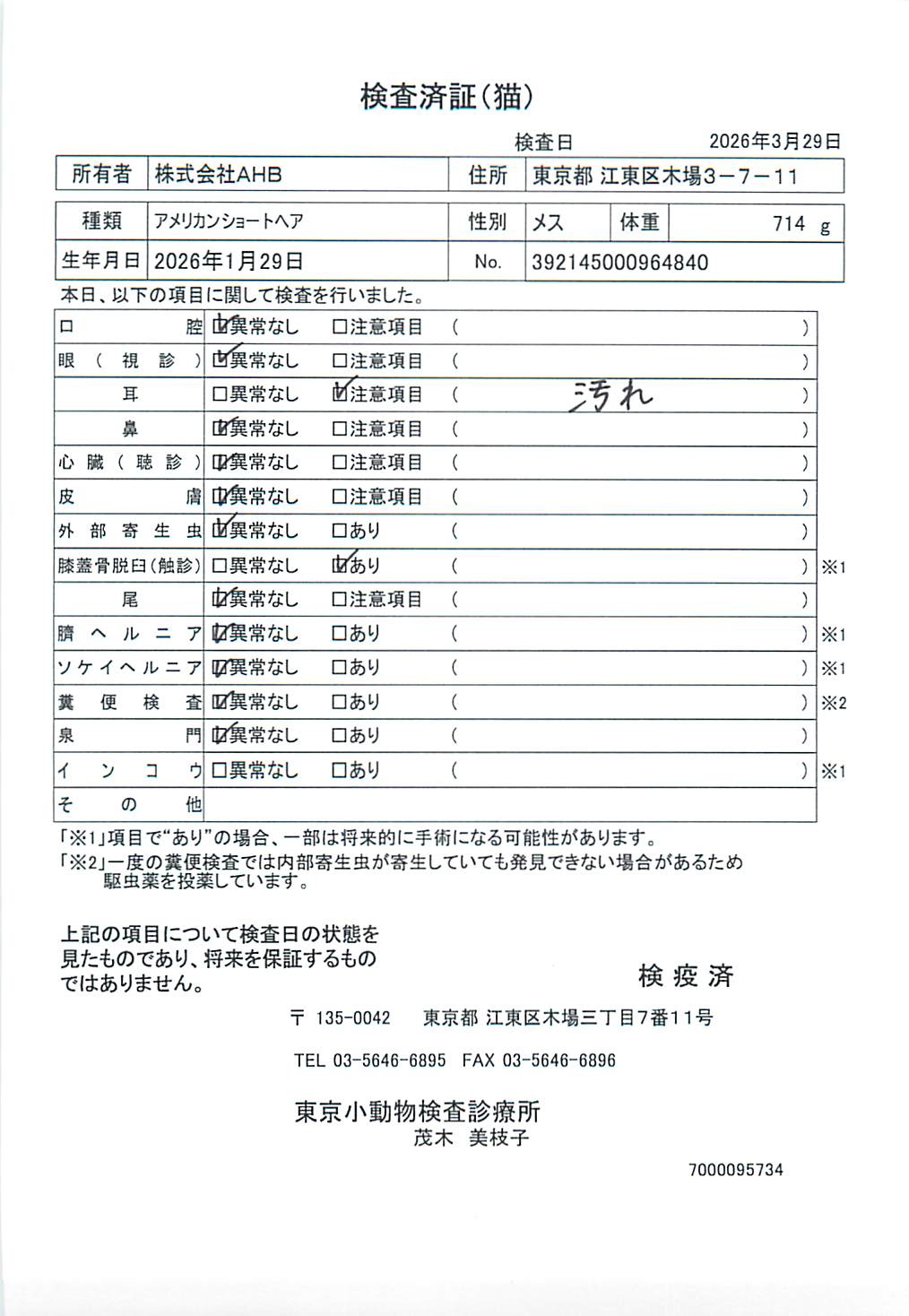 アメリカンショートヘア