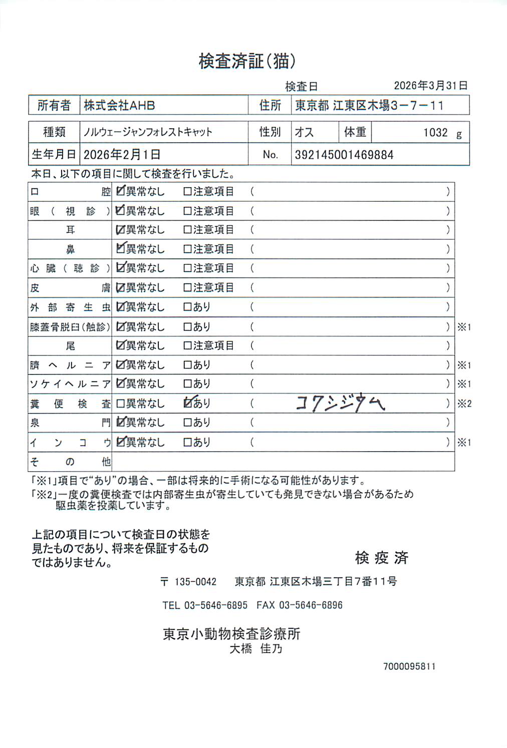 ノルウェージャンフォレストキャット