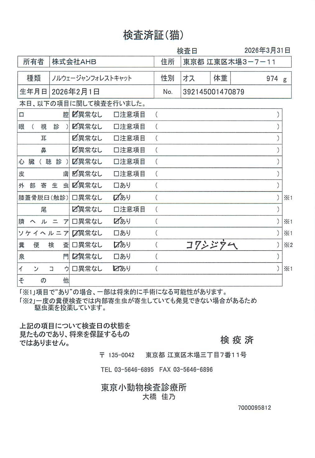 ノルウェージャンフォレストキャット