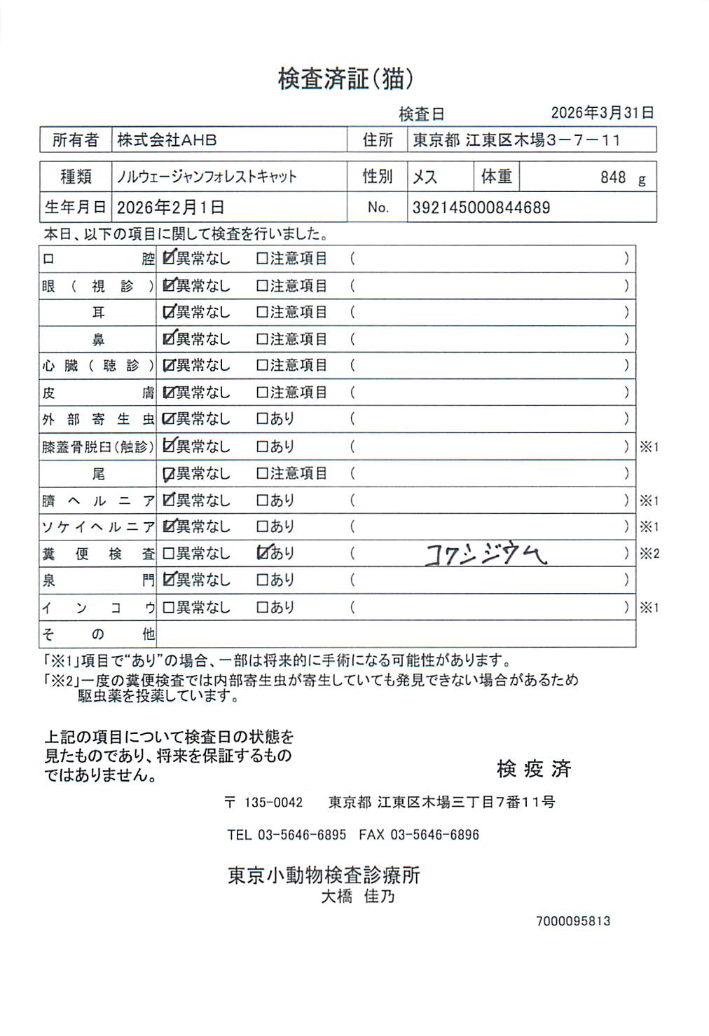 ノルウェージャンフォレストキャット