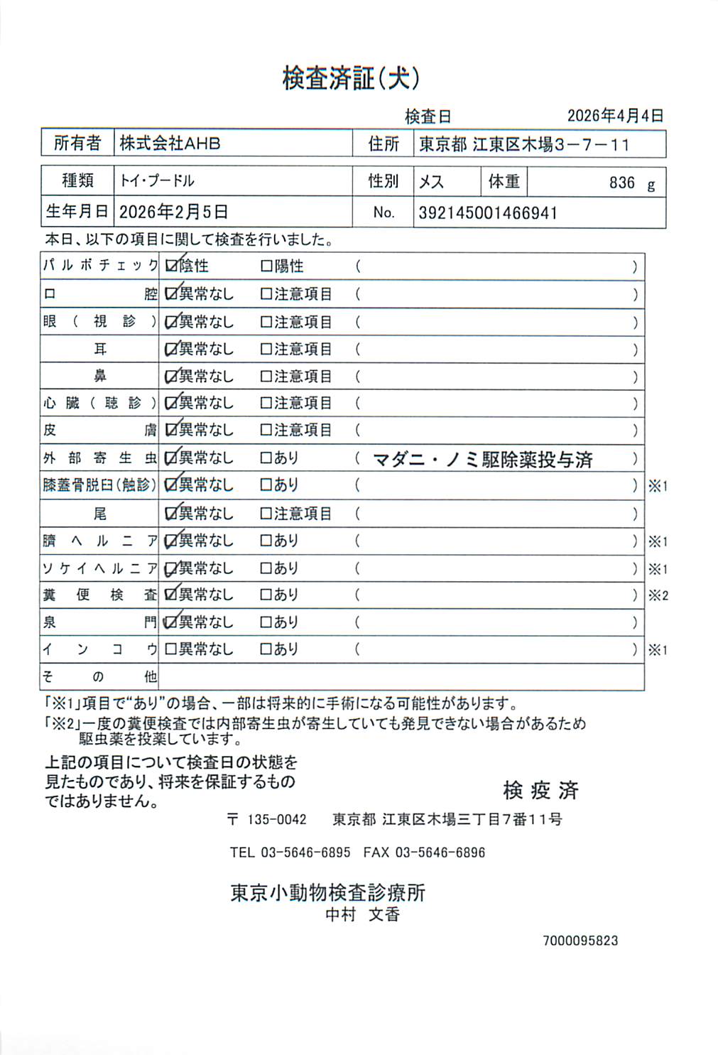 トイ・プードル