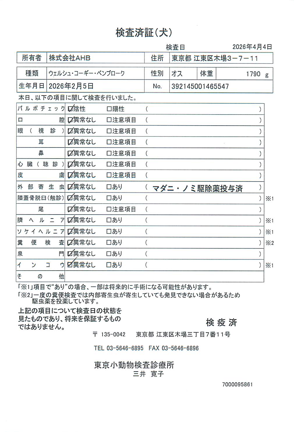 ウェルシュ・コーギー・ペンブローク