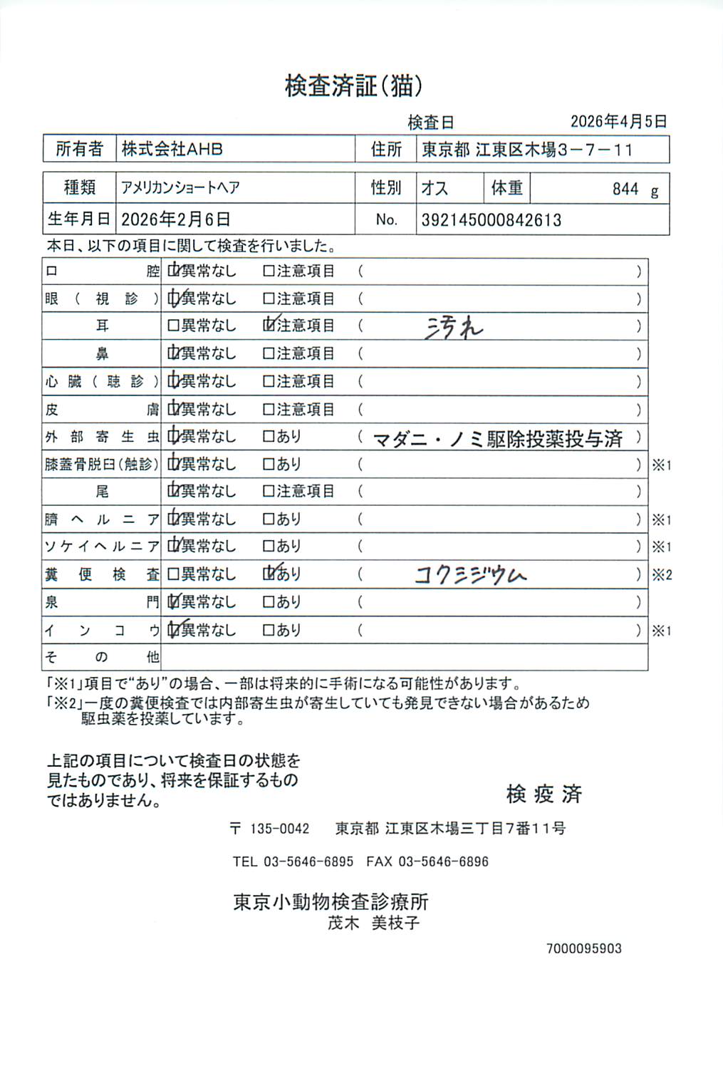 アメリカンショートヘア