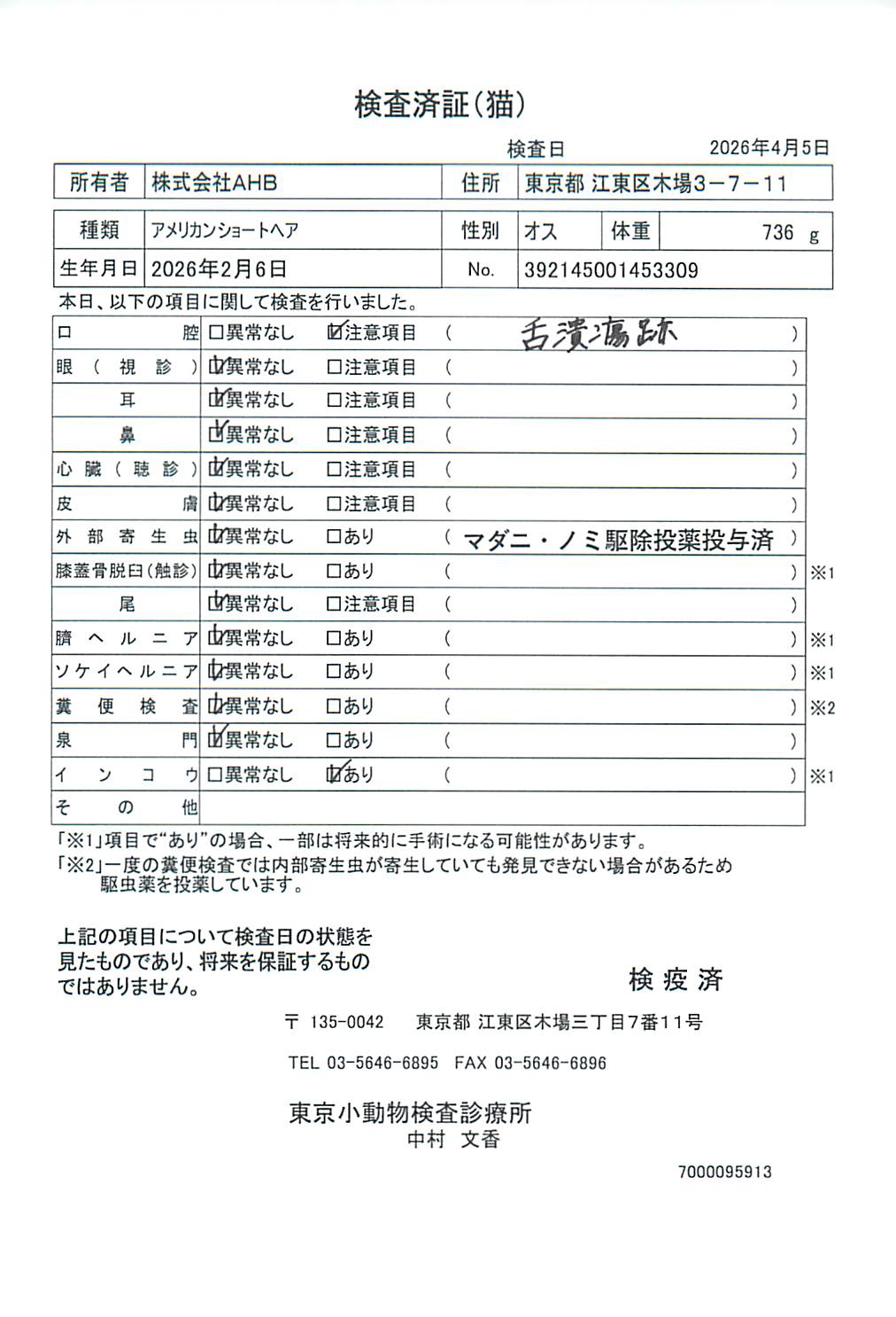 アメリカンショートヘア